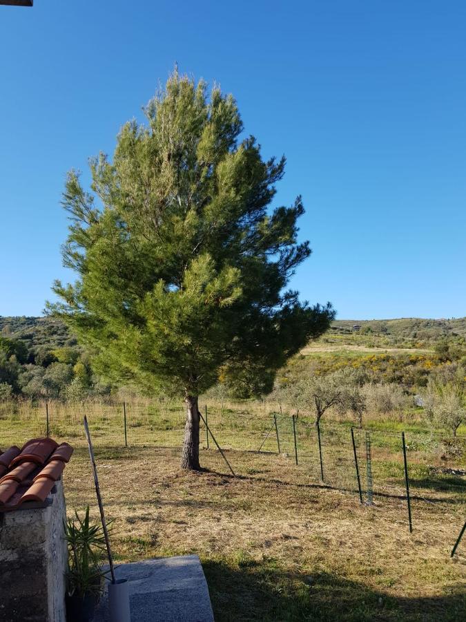 Villetta Nel Verde Ашеа Экстерьер фото